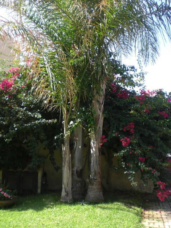 Villa Solare Lido di Noto Oda fotoğraf